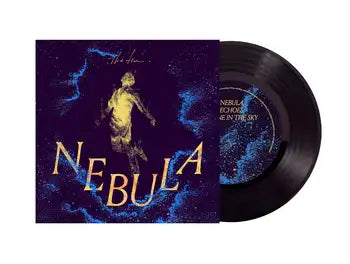 The fin. / 2025年新曲「Nebula」が10インチアナログでリリース! — Nebula(10") — Nebula(10")