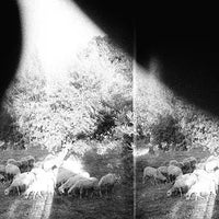 GODSPEED YOU! BLACK EMPEROR / ゴッドスピード・ユー・ブラック・エンペラー — ASUNDER, SWEET AND OTHER DISTRESS (LP)