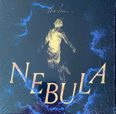 The fin. / 2025年新曲「Nebula」が10インチアナログでリリース! — Nebula(10")