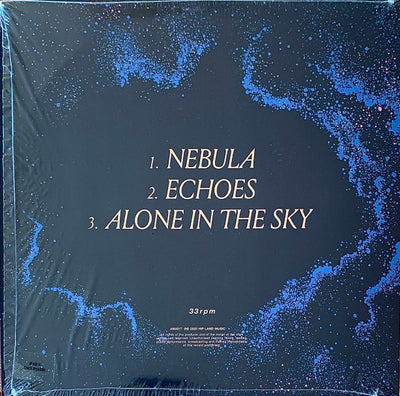 The fin. / 2025年新曲「Nebula」が10インチアナログでリリース! — Nebula(10")