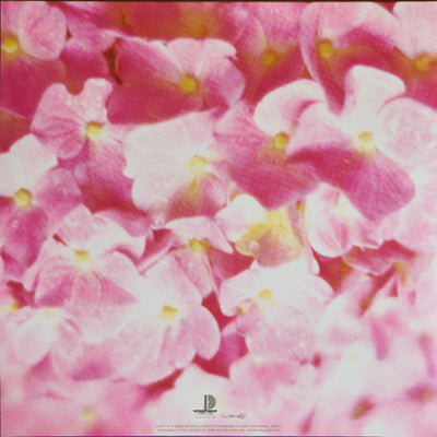 Hiroshi Yoshimura (吉村弘) - Flora 1987 ("Asagao" Edition, Transparent Magenta Vinyl)