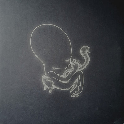 SIGUR ROS / シガー・ロス — AGAETIS BYRJUN (LP)