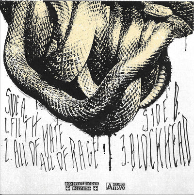 PALM / ※ダウンロードコード付 — THE UNUSUAL (7")