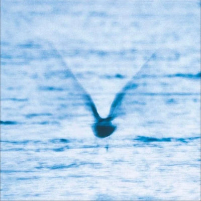 RYO FUKUI / 福居良 — Mellow Dream(LP) — Mellow Dream(LP)